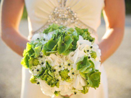 2 white green hydrangeas with hornitogallum2