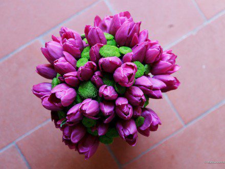 9 fucsia tulips and green santini