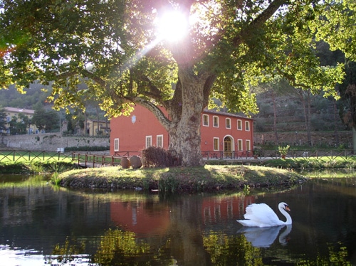 villa matteucci lake with swan