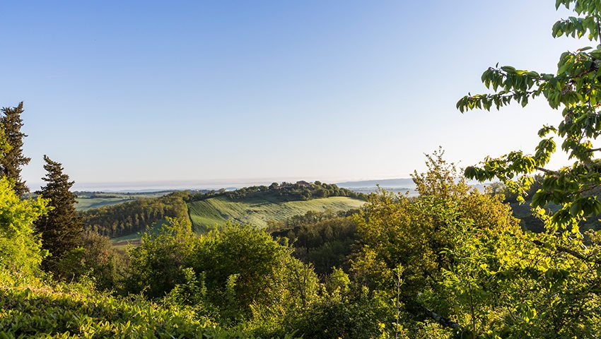 Villa Collalto panoramic view of the hillside