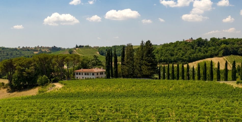 luxury villa in the florence countryside vineyards