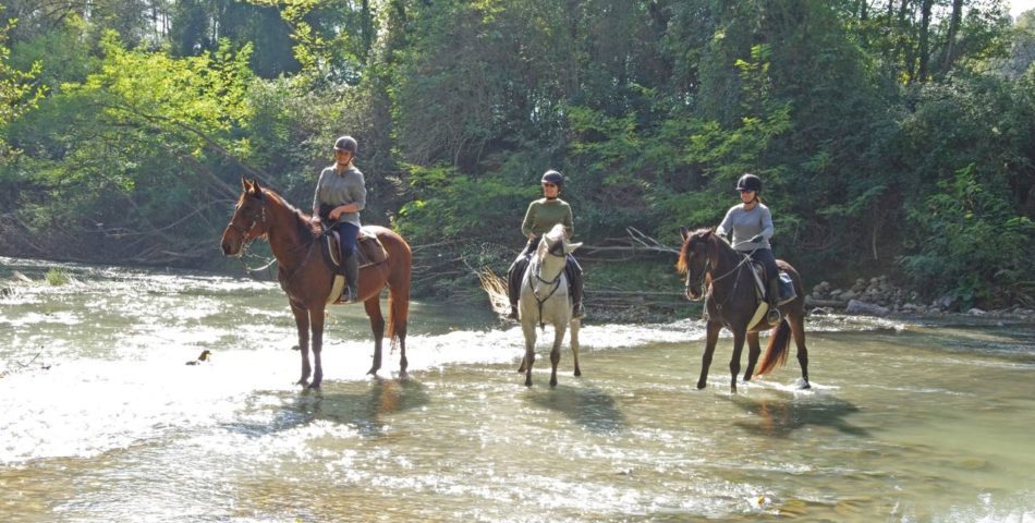 sienna villa horse back riding